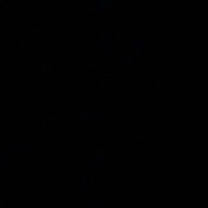 Meet your Posher, Alexia